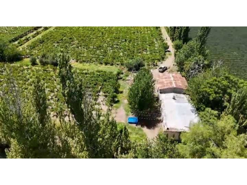 VENTA DE EXCELENTE FINCA 6 HAS - PHILLIP , JUNIN- MZA. - 6
