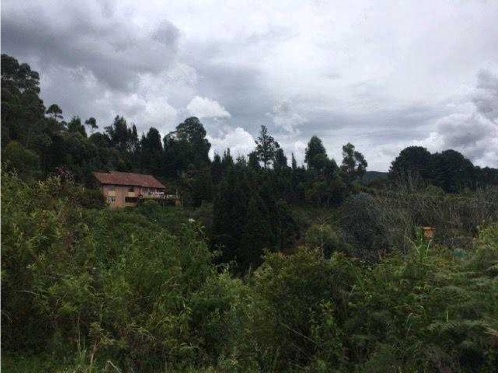 VENTA DE EXCELENTE LOTE LA CLARITA, GUARNE 9.311m2, CON AGUA Y ENERGÍA — foto 4