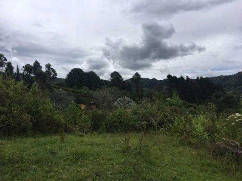VENTA DE EXCELENTE LOTE LA CLARITA, GUARNE 9.311m2, CON AGUA Y ENERGÍA — foto 5
