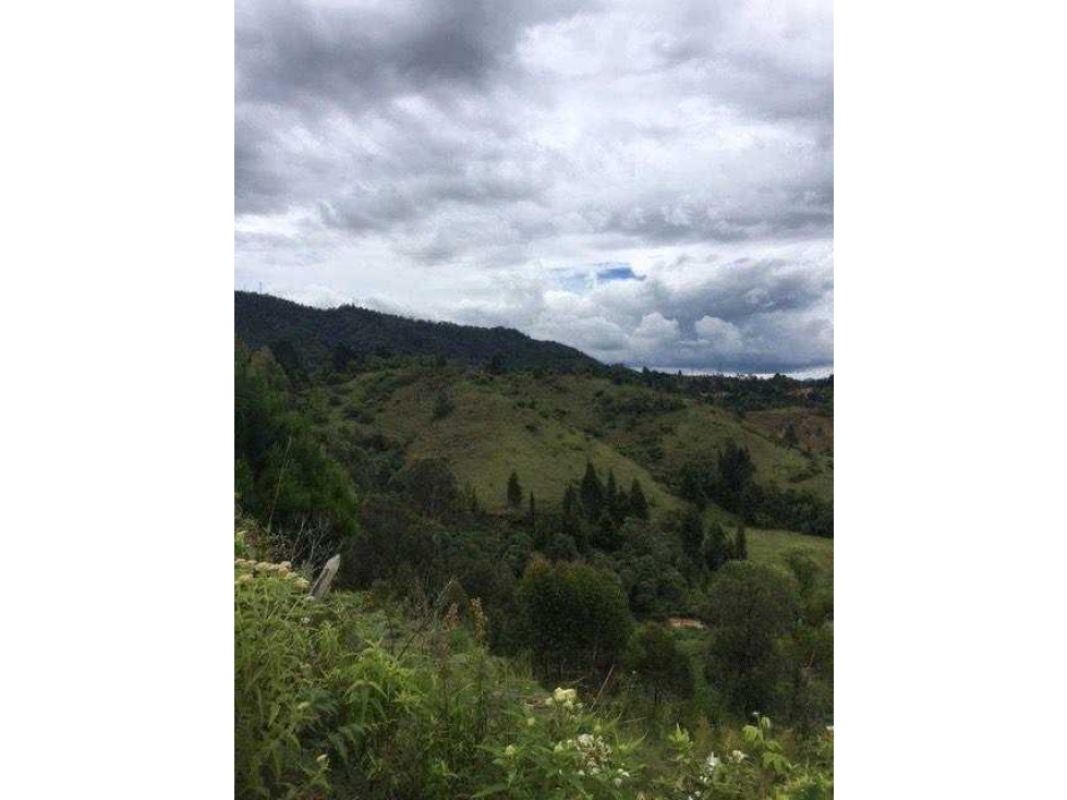 VENTA DE EXCELENTE LOTE LA CLARITA, GUARNE 9.311m2, CON AGUA Y ENERGÍA — foto 6
