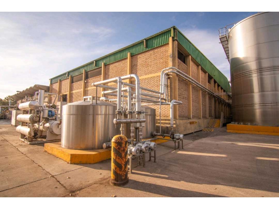 VENTA DE EXCLUSIVA BODEGA EN PRODUCIÓN- SAN MARTIN, MENDOZA - 2