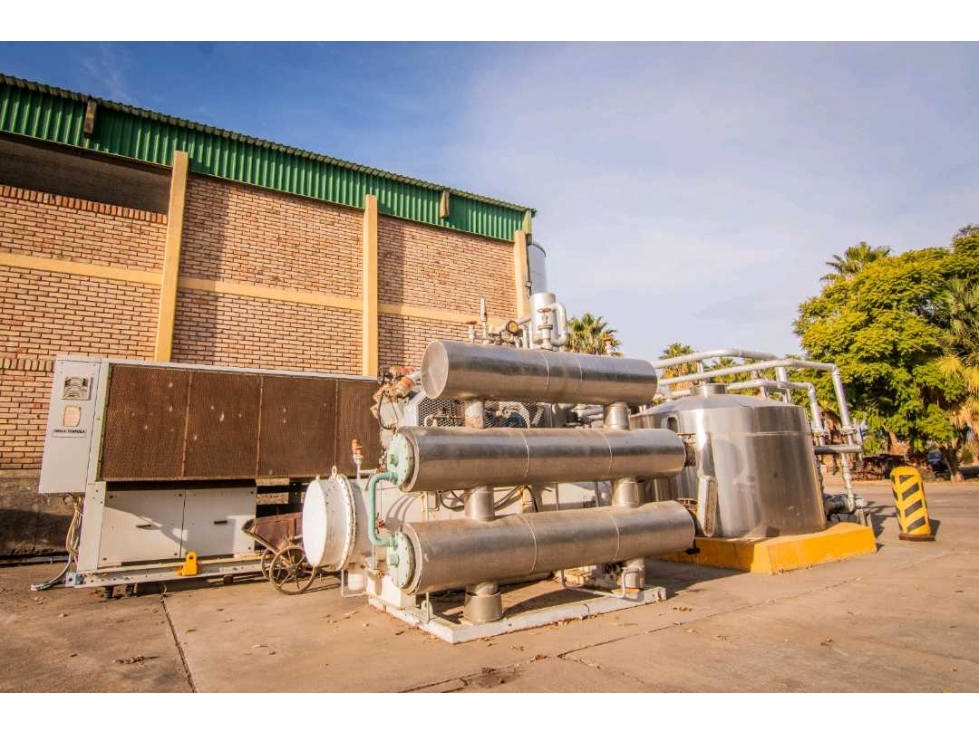 VENTA DE EXCLUSIVA BODEGA EN PRODUCIÓN- SAN MARTIN, MENDOZA - 4
