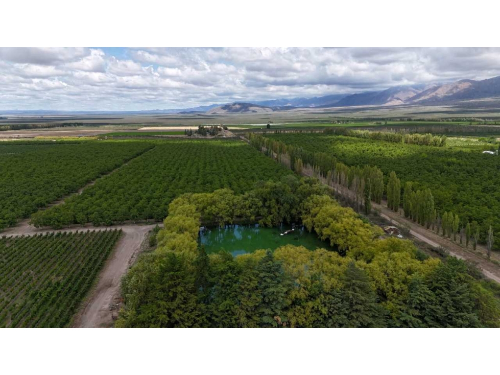 VENTA DE EXCLUSIVA FINCA DE 74,5 HAS - SAN CARLOS, MENDOZA. - 3