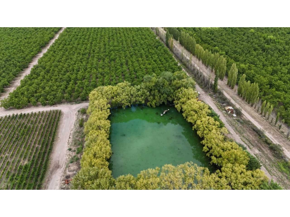 VENTA DE EXCLUSIVA FINCA DE 74,5 HAS - SAN CARLOS, MENDOZA. - 4