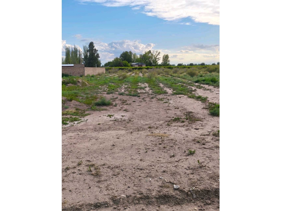 VENTA DE EXTENSO LOTE EN ALGARROBO GRANDE, JUNÍN-MZA. - 2