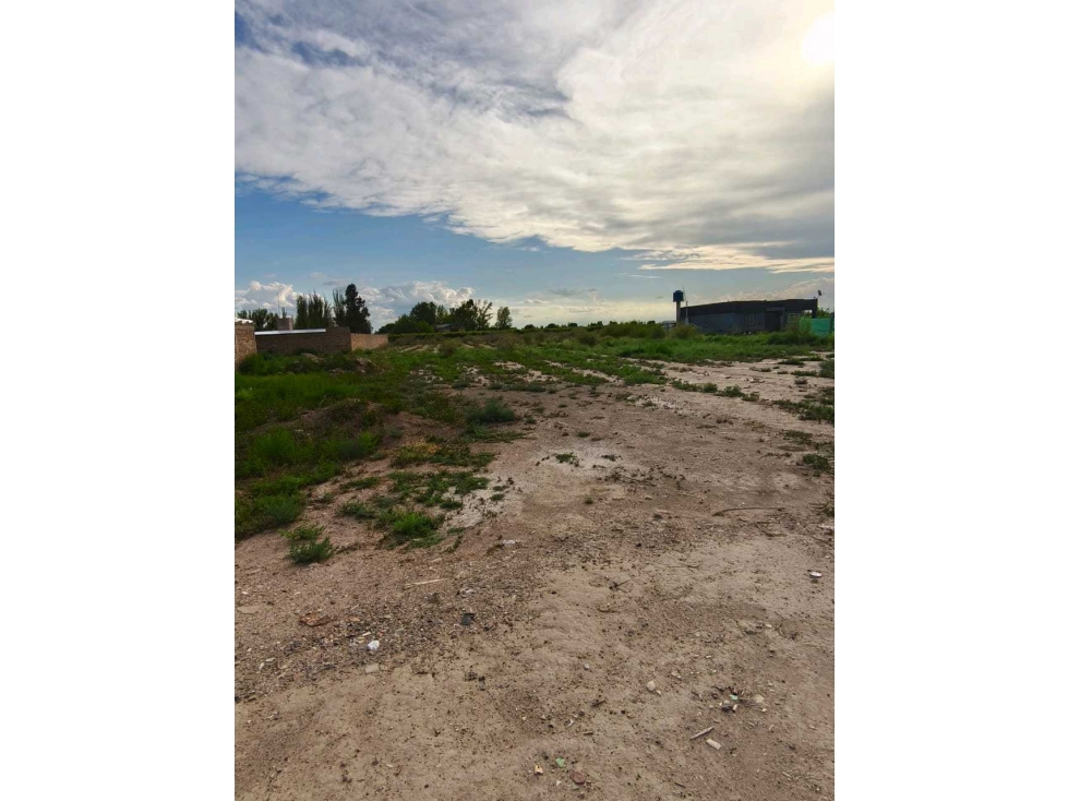 VENTA DE EXTENSO LOTE EN ALGARROBO GRANDE, JUNÍN-MZA. - 3