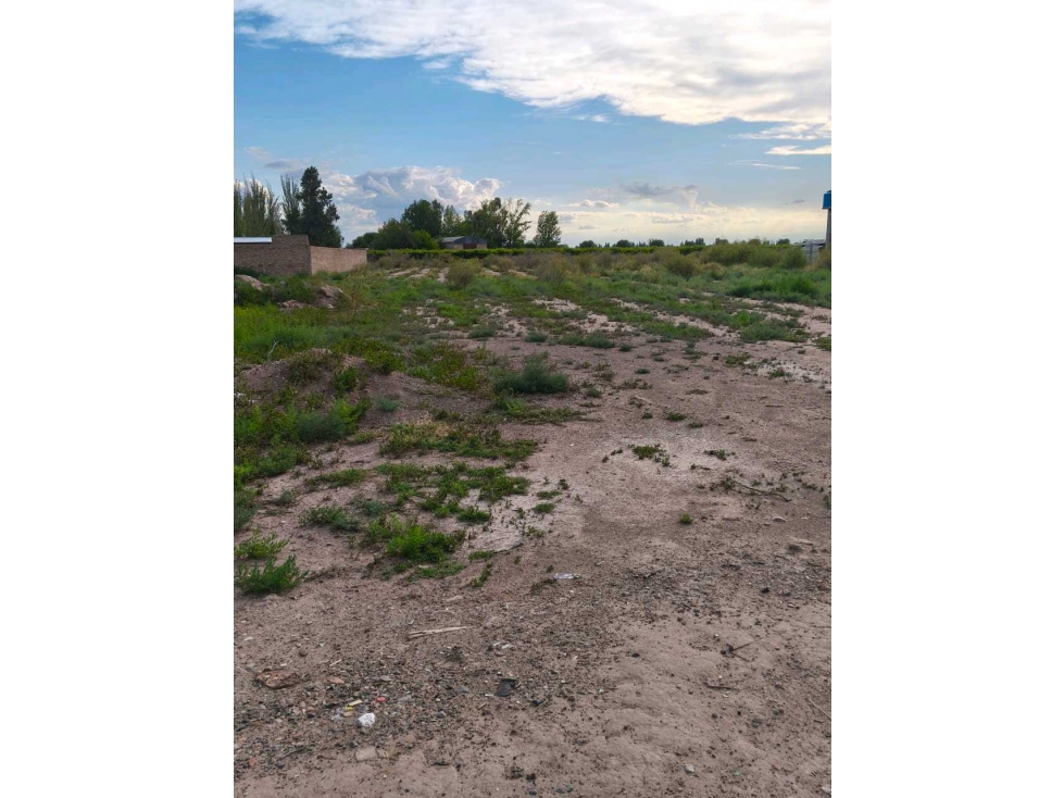 VENTA DE EXTENSO LOTE EN ALGARROBO GRANDE, JUNÍN-MZA. - 4