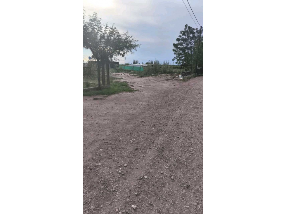 VENTA DE EXTENSO LOTE EN ALGARROBO GRANDE, JUNÍN-MZA. - 5