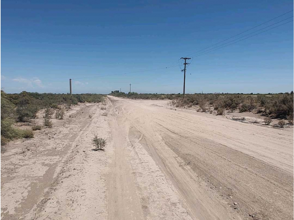 VENTA DE CAMPO 104 HAS EN 12 DE OCTUBRE- SANTA ROSA. - 2