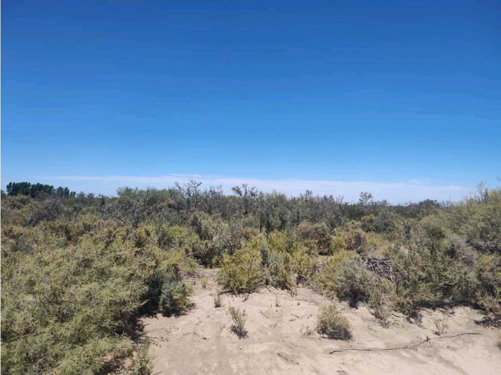 VENTA DE CAMPO 104 HAS EN 12 DE OCTUBRE- SANTA ROSA. - 3