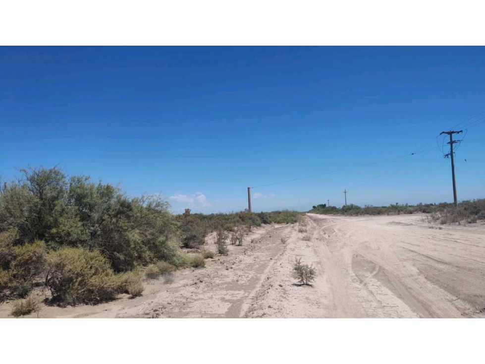VENTA DE CAMPO 104 HAS EN 12 DE OCTUBRE- SANTA ROSA. - 4