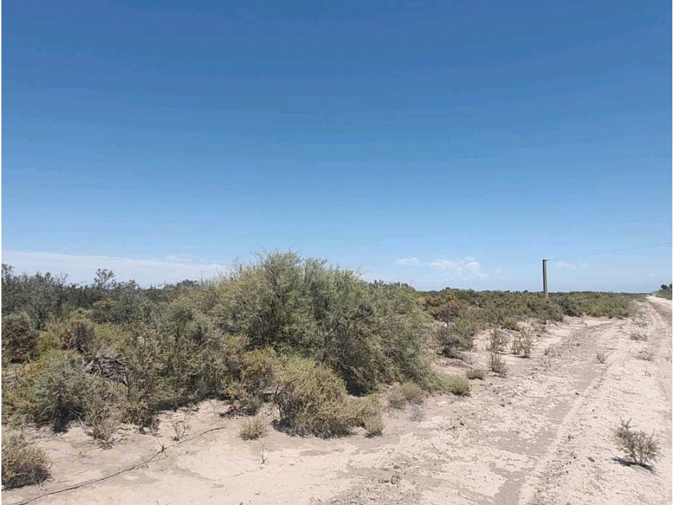 VENTA DE CAMPO 104 HAS EN 12 DE OCTUBRE- SANTA ROSA. - 6