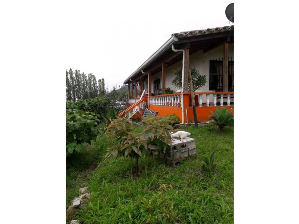 Venta de finca 1.691 m2, Vereda Potrerito, San Antonio de Prado — foto 6