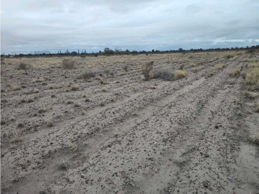VENTA DE FINCA 21 HAS EN ALTO VERDE- JUNIN, MZA. - 1