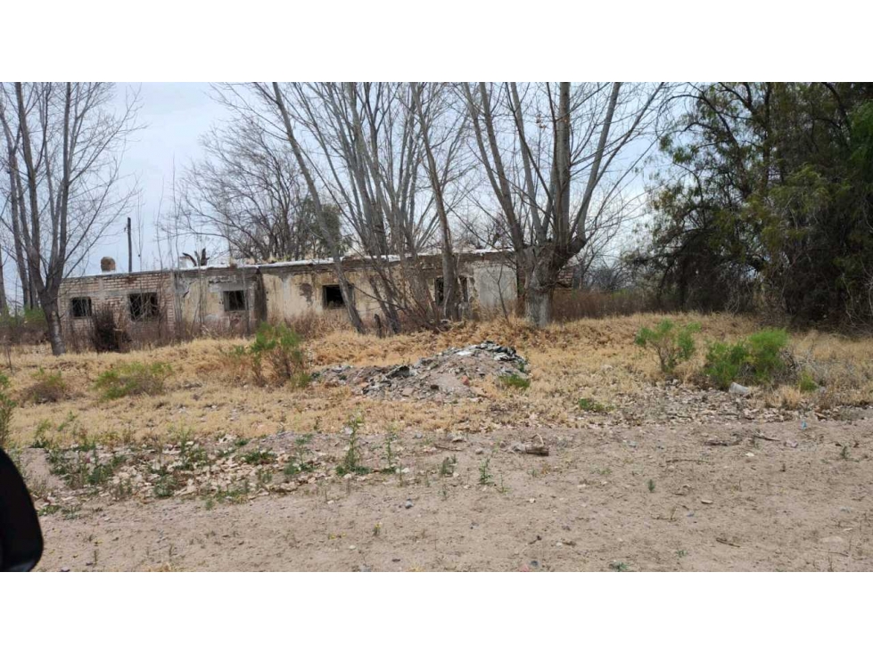 VENTA DE FINCA 21 HAS EN ALTO VERDE- JUNIN, MZA. - 2