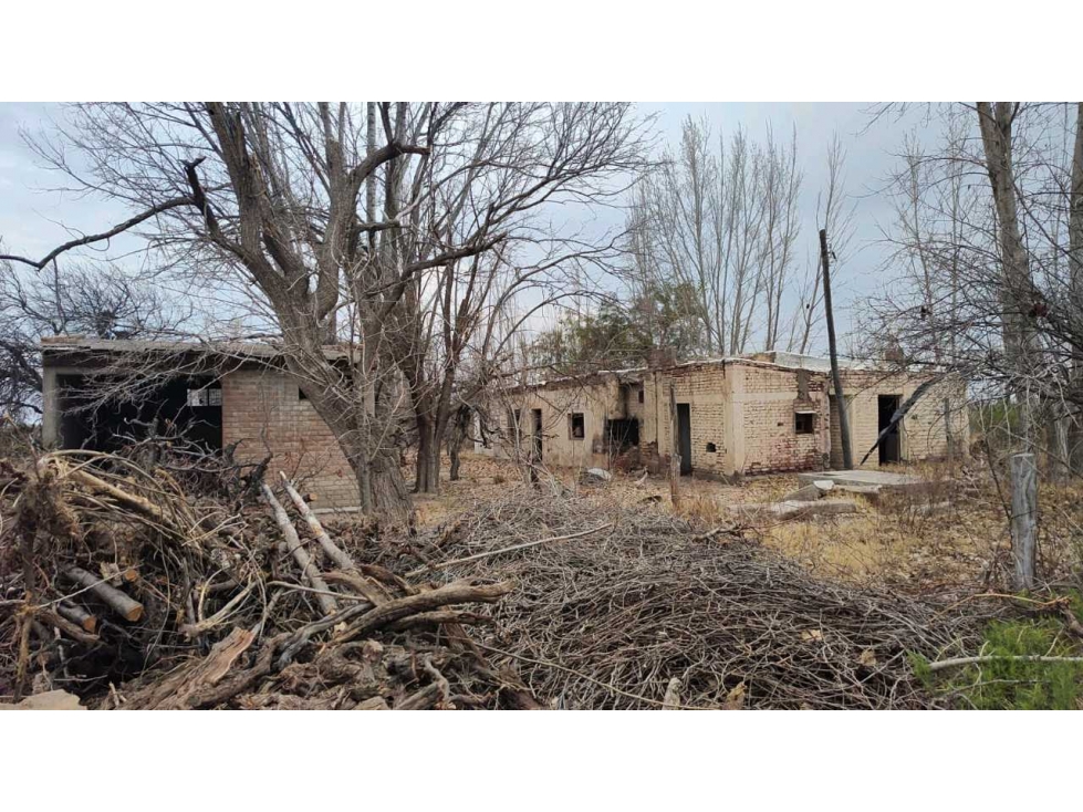 VENTA DE FINCA 21 HAS EN ALTO VERDE- JUNIN, MZA. - 3