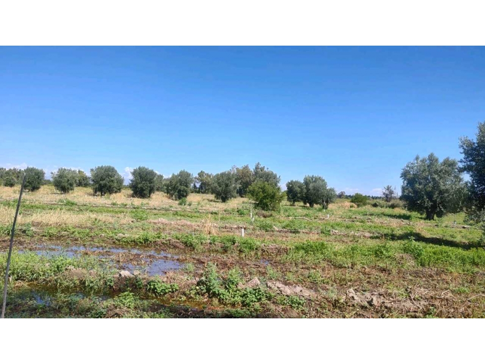VENTA DE FINCA 22 HAS EN CARRIL BUEN ORDEN- SAN MARTIN, MZA - 2