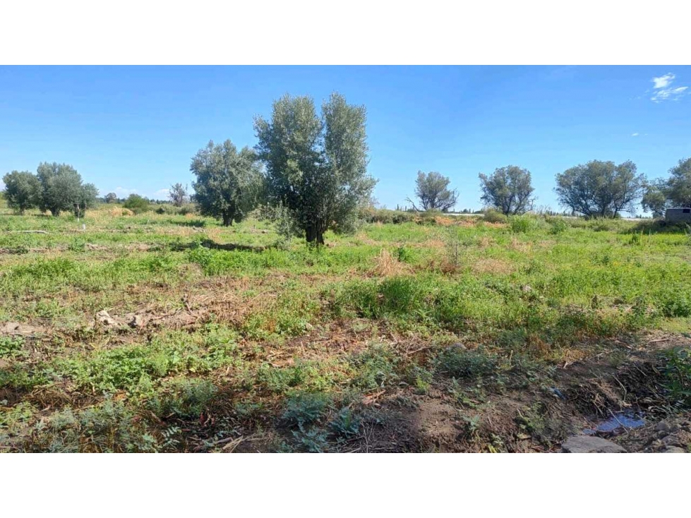 VENTA DE FINCA 22 HAS EN CARRIL BUEN ORDEN- SAN MARTIN, MZA - 3