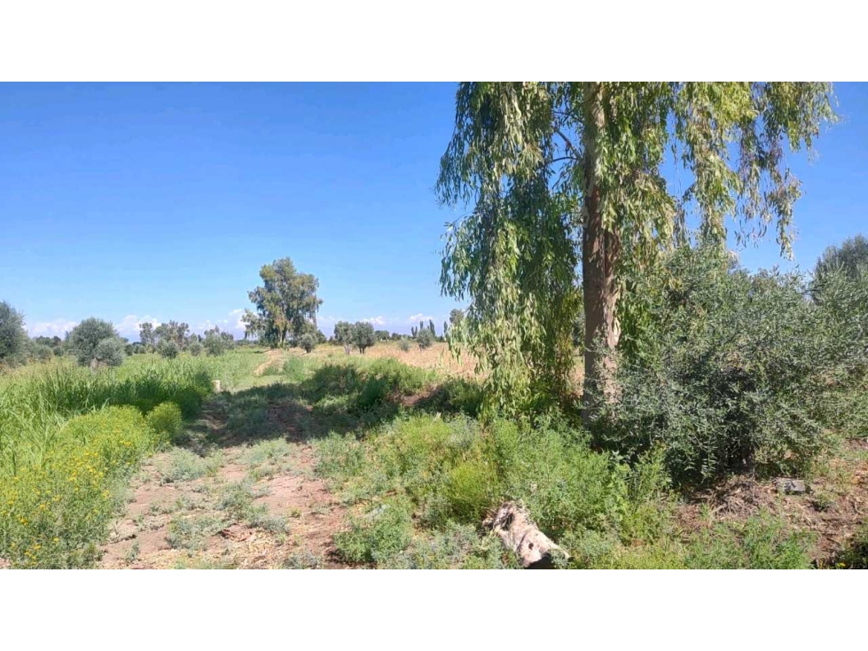 VENTA DE FINCA 22 HAS EN CARRIL BUEN ORDEN- SAN MARTIN, MZA - 4