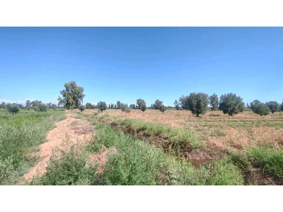 VENTA DE FINCA 22 HAS EN CARRIL BUEN ORDEN- SAN MARTIN, MZA - 6