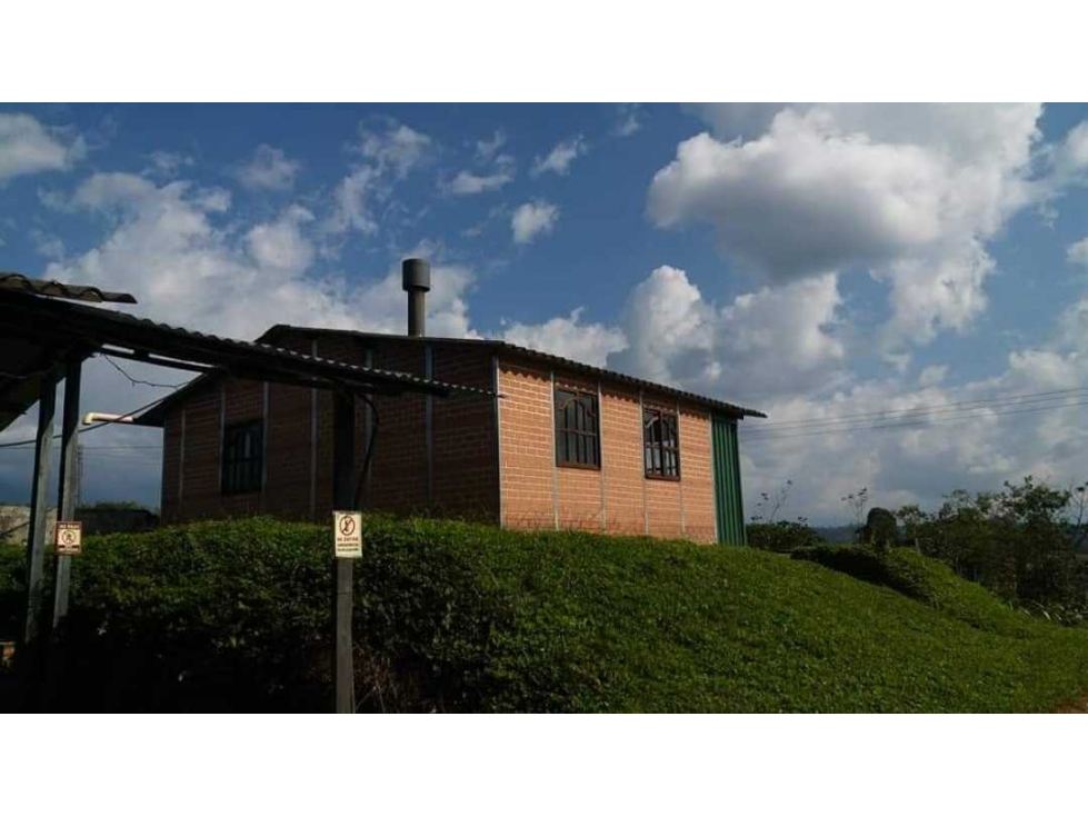 VENTA DE FINCA 24 CUADRAS SECTOR LA BELLA (PEREIRA) — foto 2