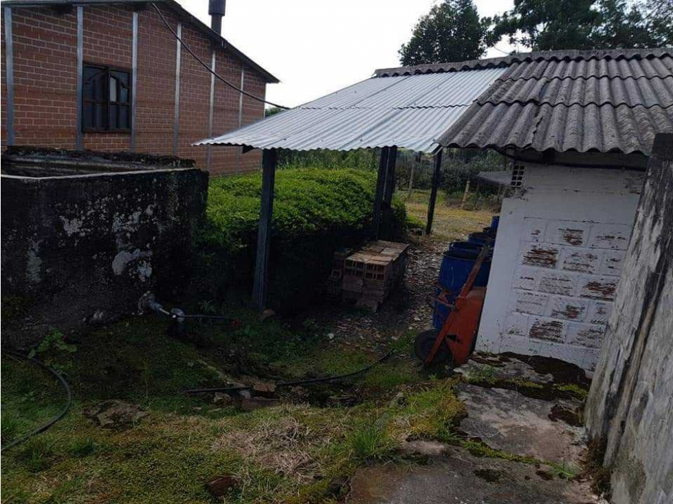 VENTA DE FINCA 24 CUADRAS SECTOR LA BELLA (PEREIRA) — foto 3