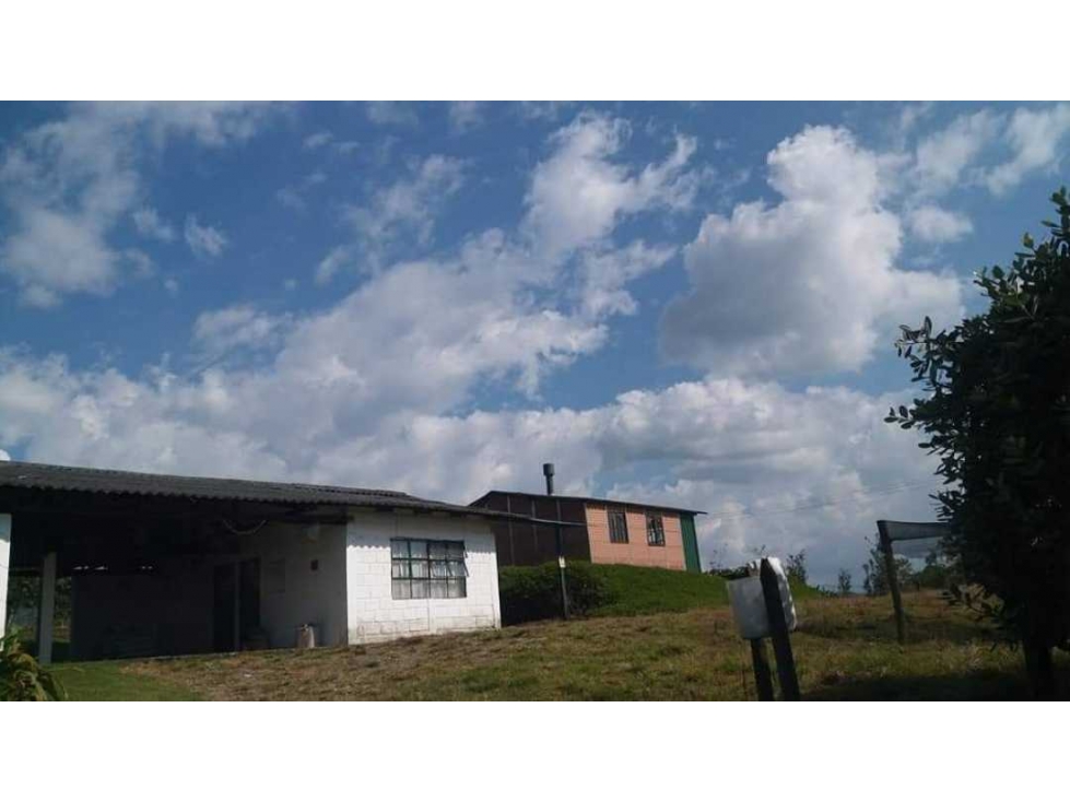 VENTA DE FINCA 24 CUADRAS SECTOR LA BELLA (PEREIRA) — foto 6