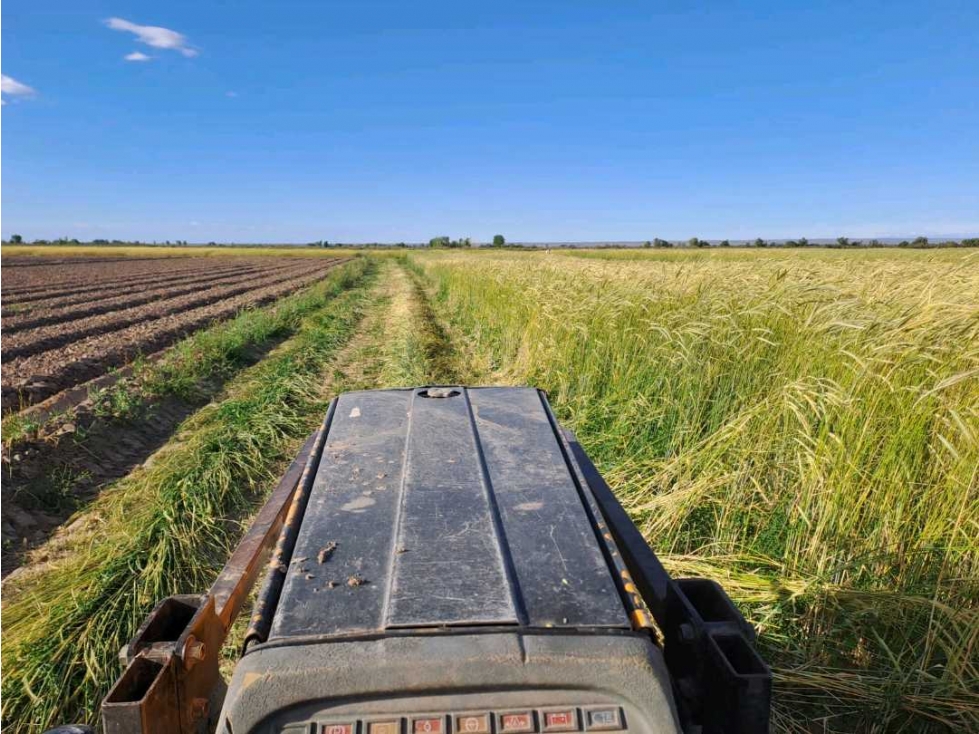 VENTA DE FINCA 36 HAS CALLE LA FLORIDA, EL MIRADOR , RIVADAVIA - 2