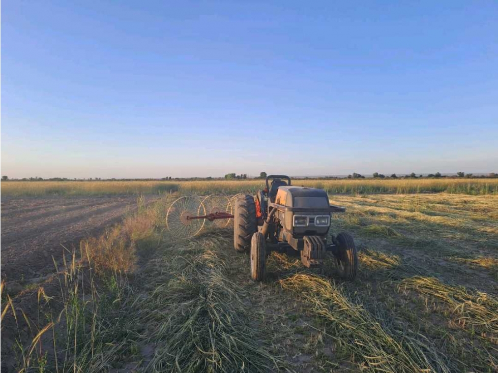 VENTA DE FINCA 36 HAS CALLE LA FLORIDA, EL MIRADOR , RIVADAVIA - 4