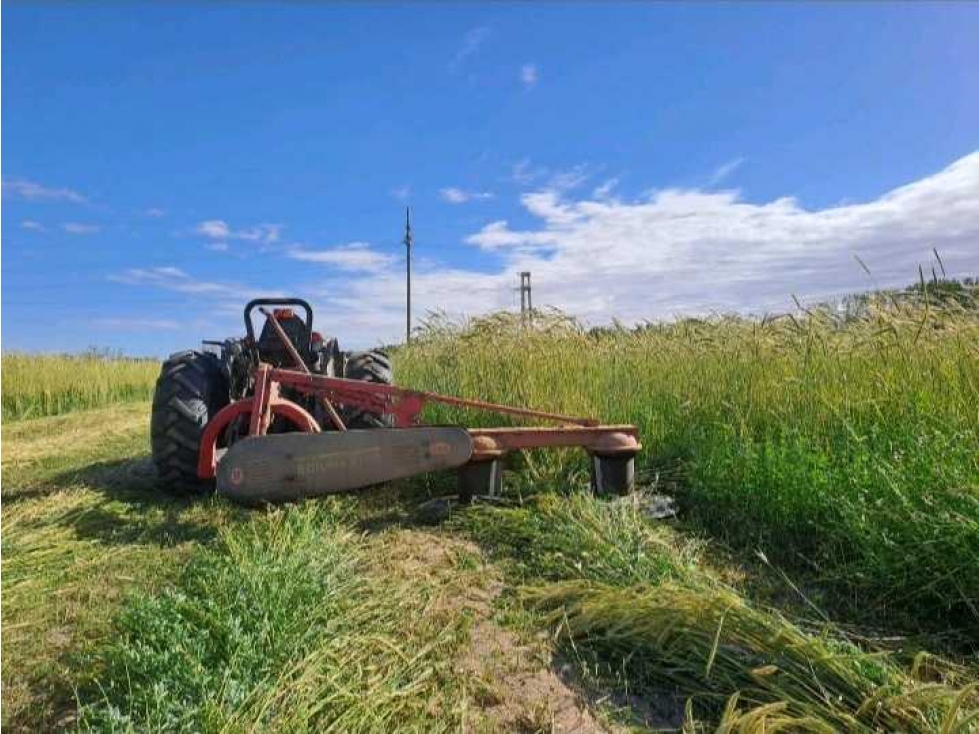 VENTA DE FINCA 36 HAS CALLE LA FLORIDA, EL MIRADOR , RIVADAVIA - 3