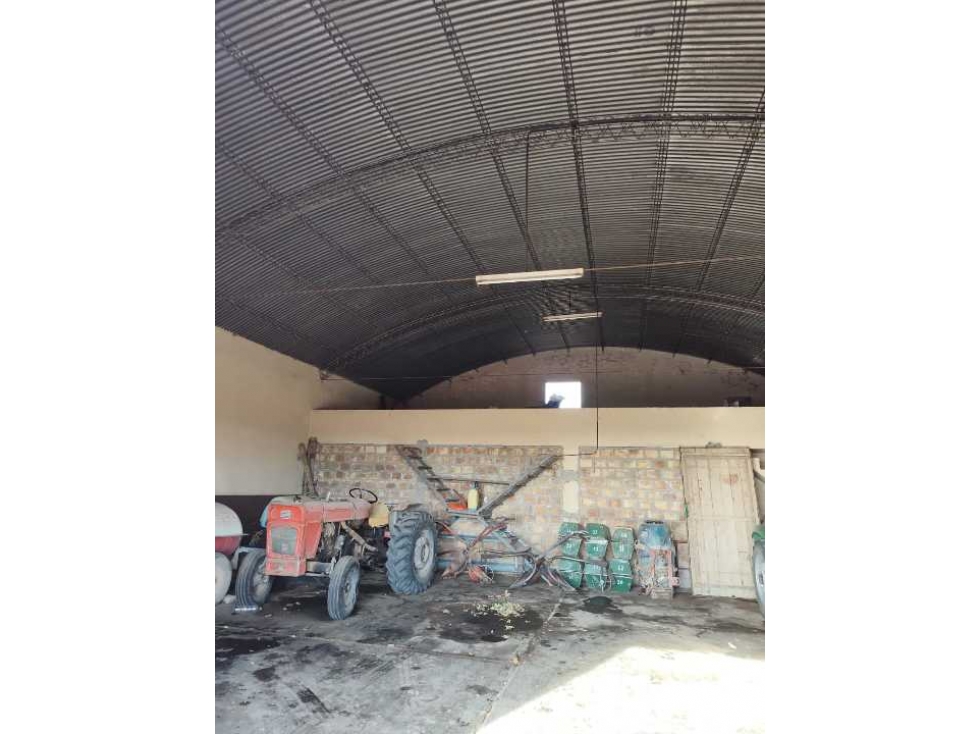 VENTA DE FINCA 50 HAS EN EL MIRADOR, RIVADAVIA, MZA . - 4