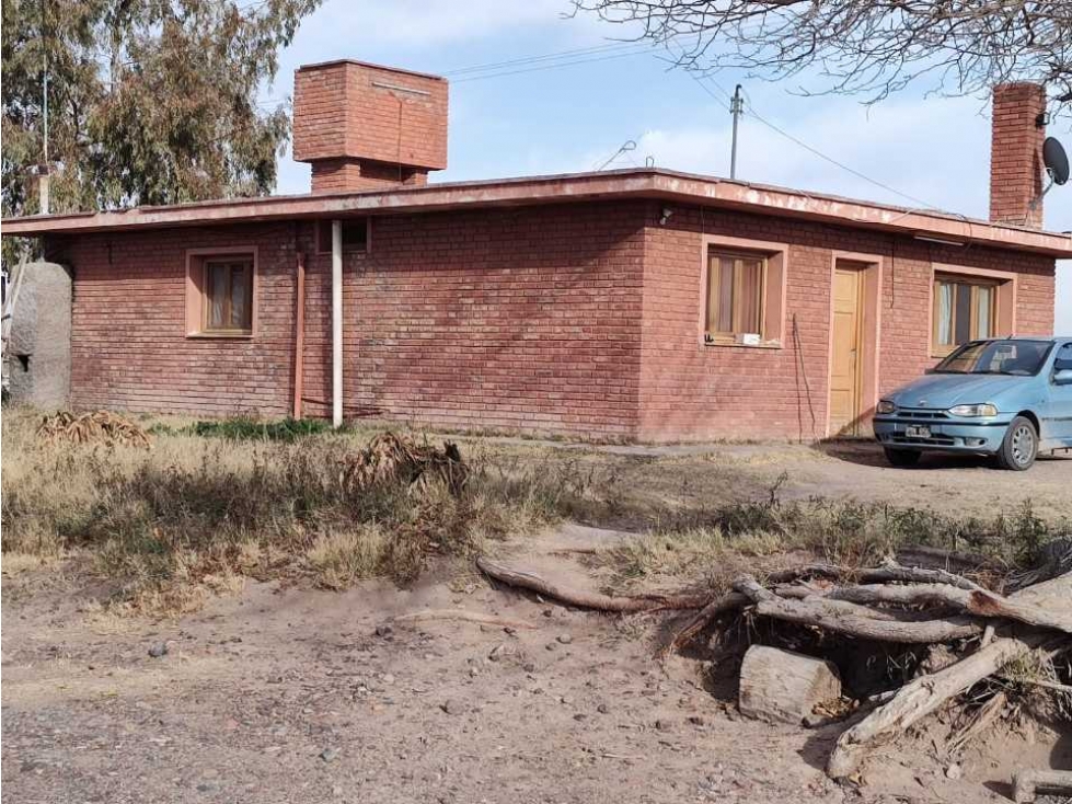 VENTA DE FINCA 50 HAS EN EL MIRADOR, RIVADAVIA, MZA . - 5