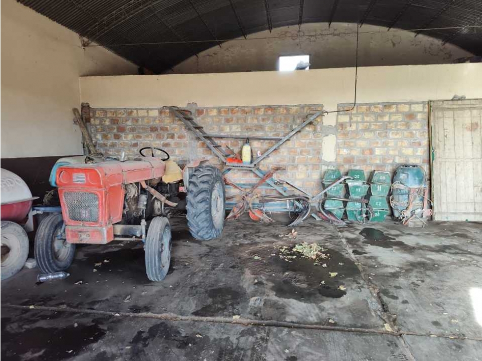 VENTA DE FINCA 50 HAS EN EL MIRADOR, RIVADAVIA, MZA . - 6