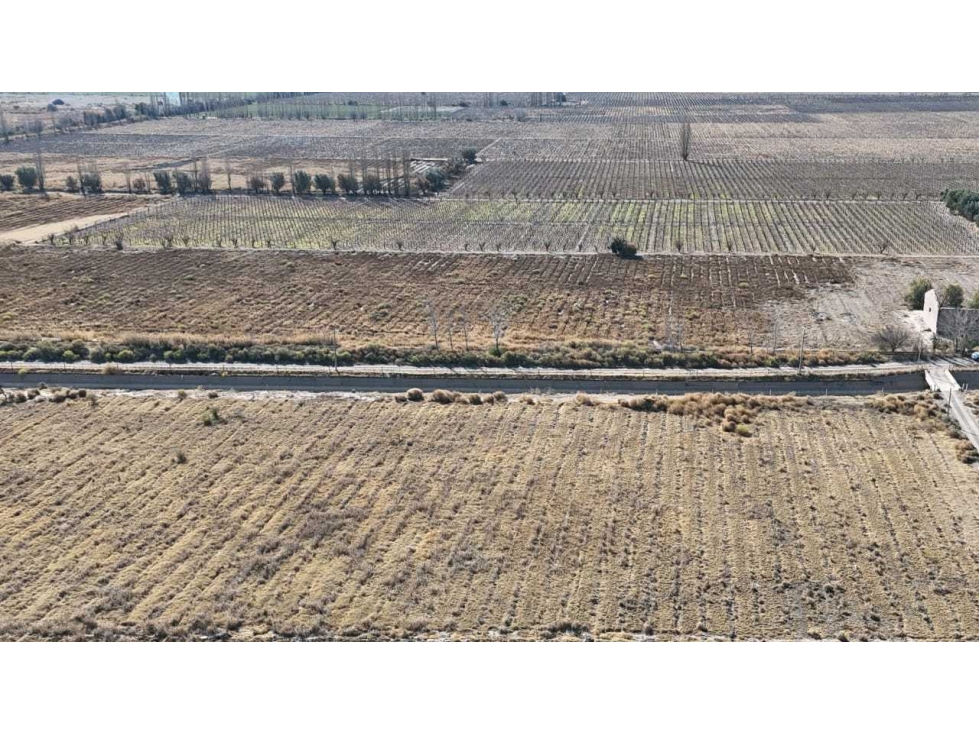 VENTA DE FINCA 60 HAS EN CALLE LA PRIMAVERA, RIVADAVIA- MENDOZA - 2
