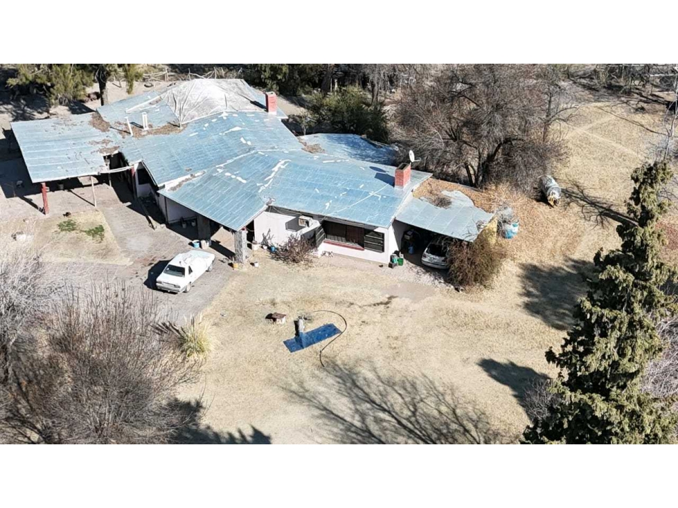 VENTA DE FINCA 60 HAS EN CALLE LA PRIMAVERA, RIVADAVIA- MENDOZA - 3