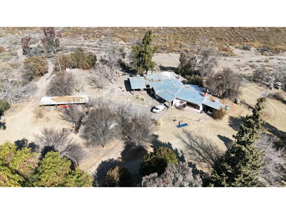 VENTA DE FINCA 60 HAS EN CALLE LA PRIMAVERA, RIVADAVIA- MENDOZA - 4