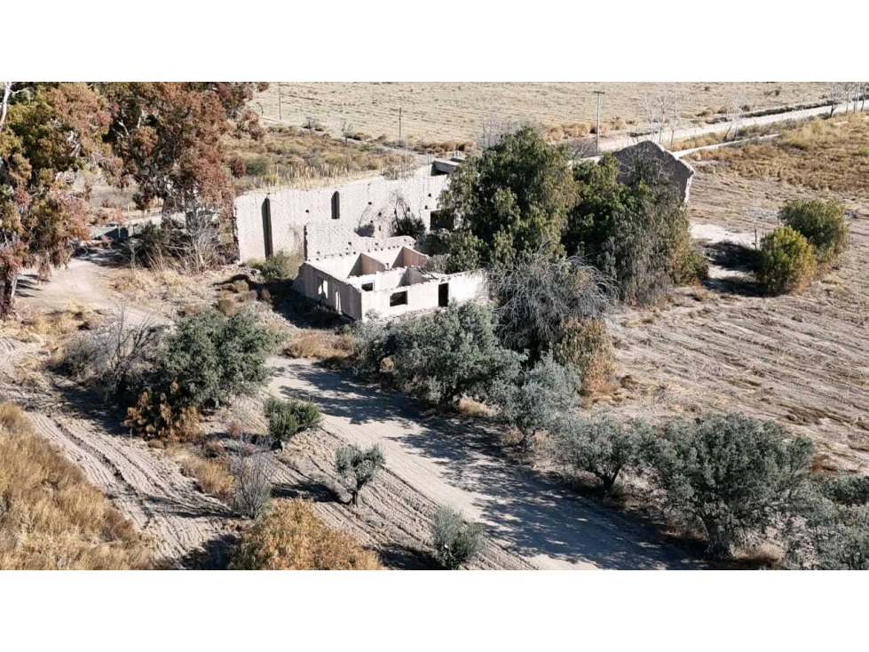 VENTA DE FINCA 60 HAS EN CALLE LA PRIMAVERA, RIVADAVIA- MENDOZA - 6