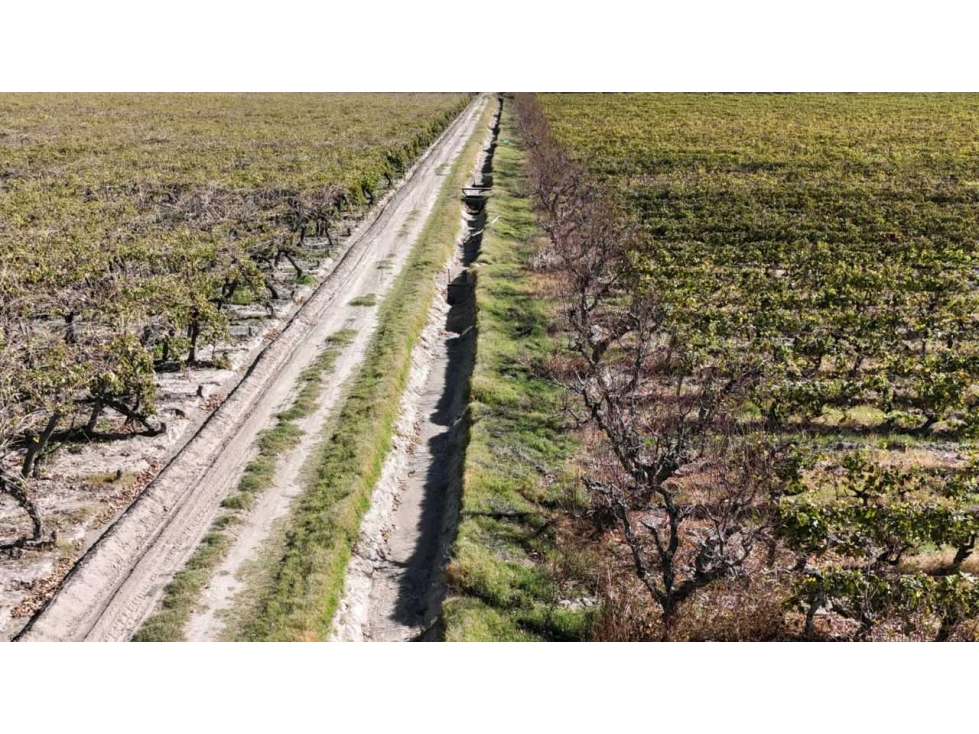 VENTA DE FINCA 63 HAS - EL ESPINO, SAN MARTIN , MENDOZA - 2