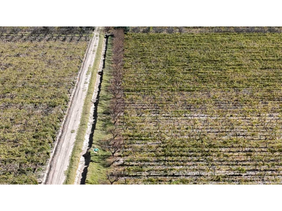 VENTA DE FINCA 63 HAS - EL ESPINO, SAN MARTIN , MENDOZA - 3