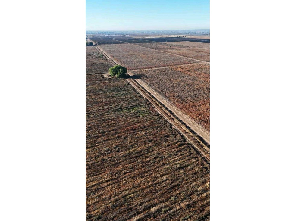 VENTA DE FINCA 90 HAS EN LUJAN DE CUYO - 2