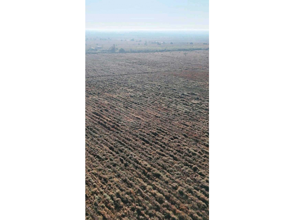 VENTA DE FINCA 90 HAS EN LUJAN DE CUYO - 3