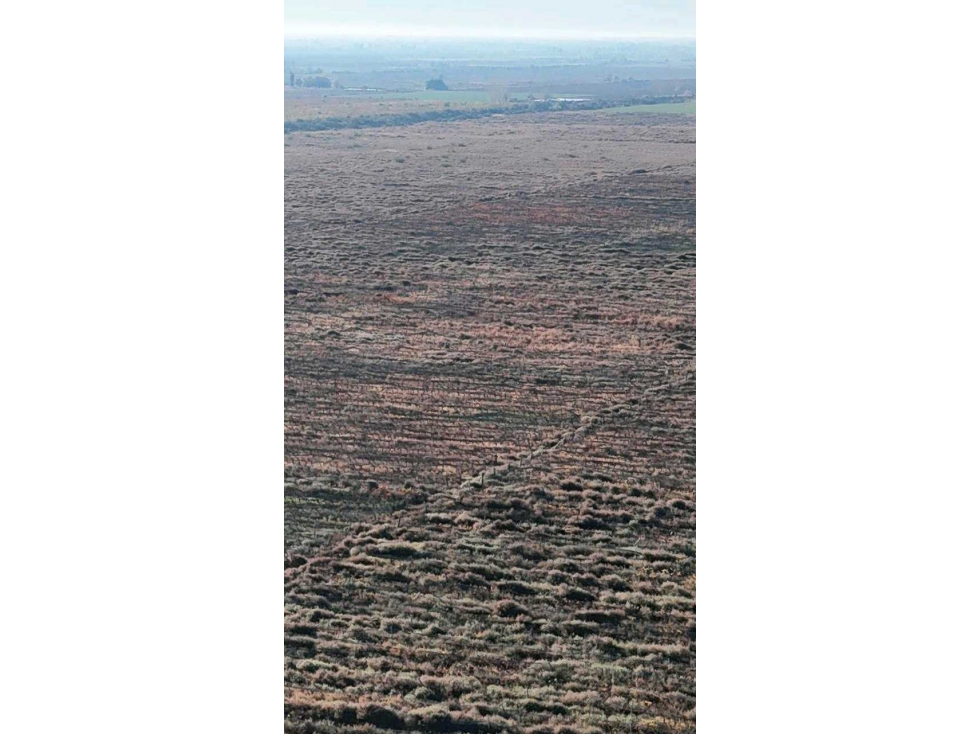 VENTA DE FINCA 90 HAS EN LUJAN DE CUYO - 4