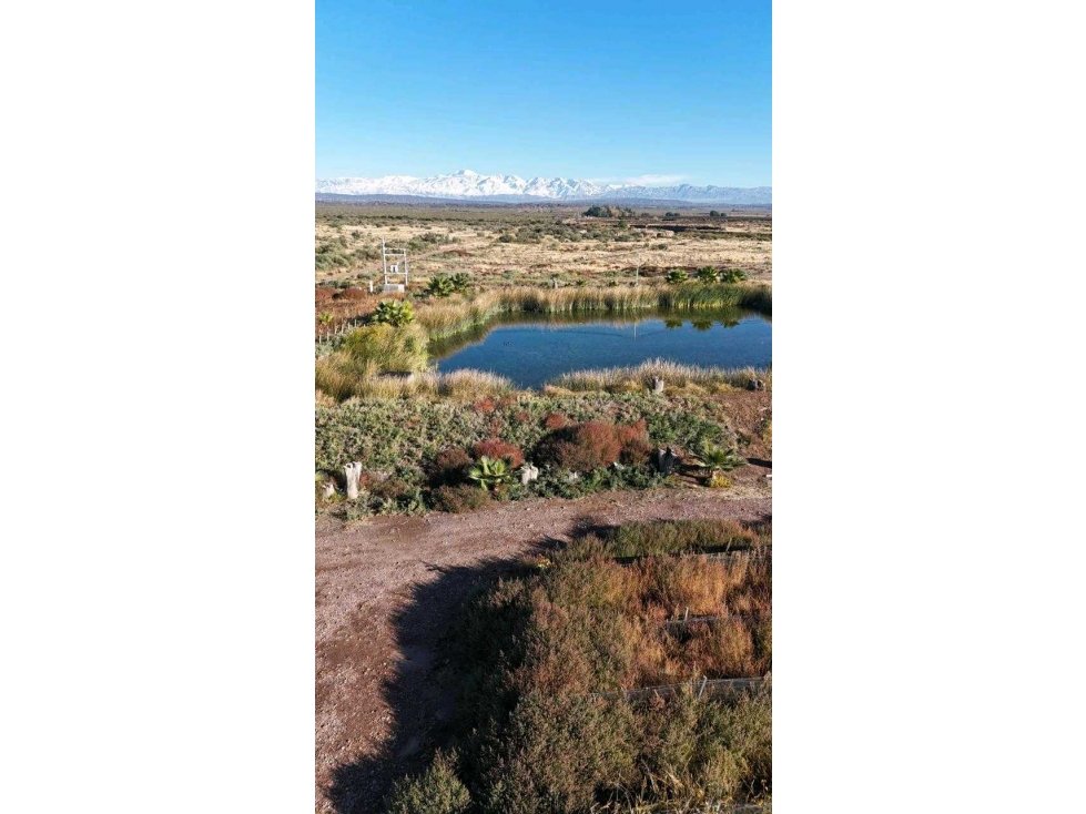 VENTA DE FINCA 90 HAS EN LUJAN DE CUYO - 5