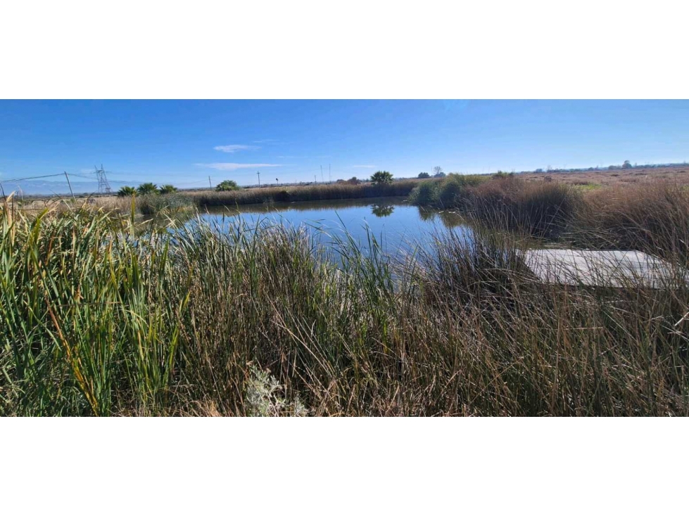 VENTA DE FINCA 90 HAS EN LUJAN DE CUYO - 6