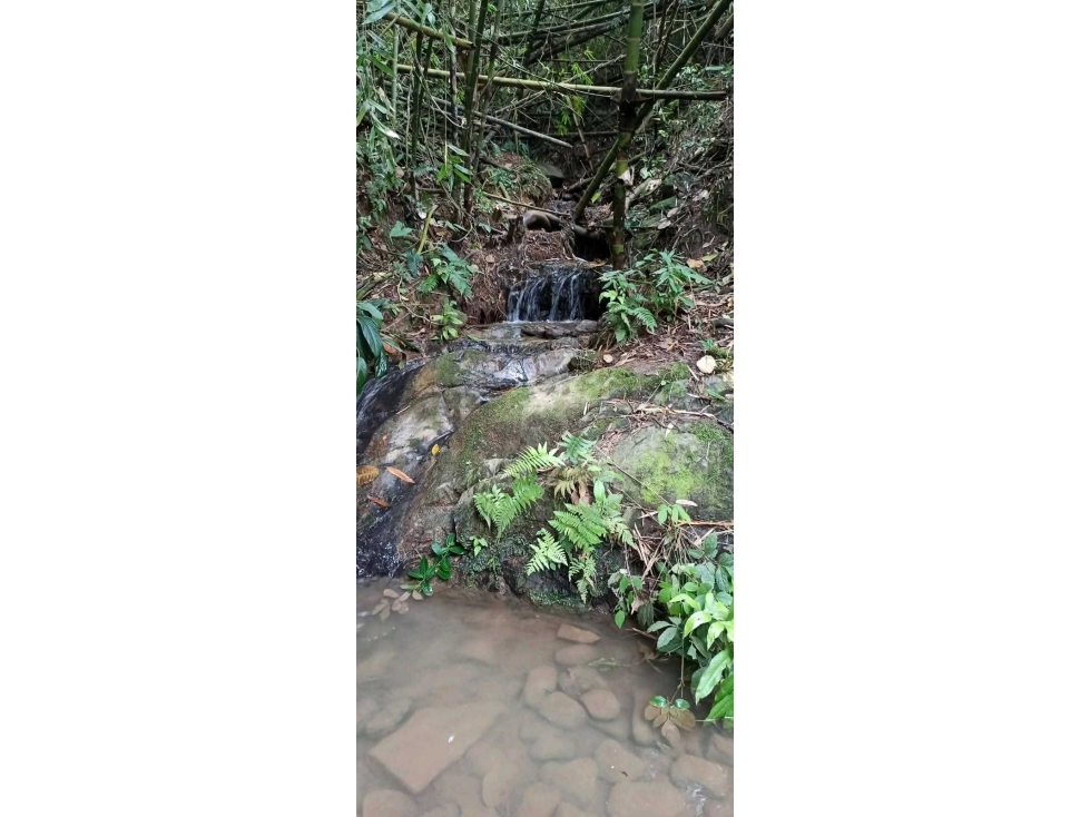 VENTA DE FINCA AGROTURISTICA BALBOA RISARALDA - 4