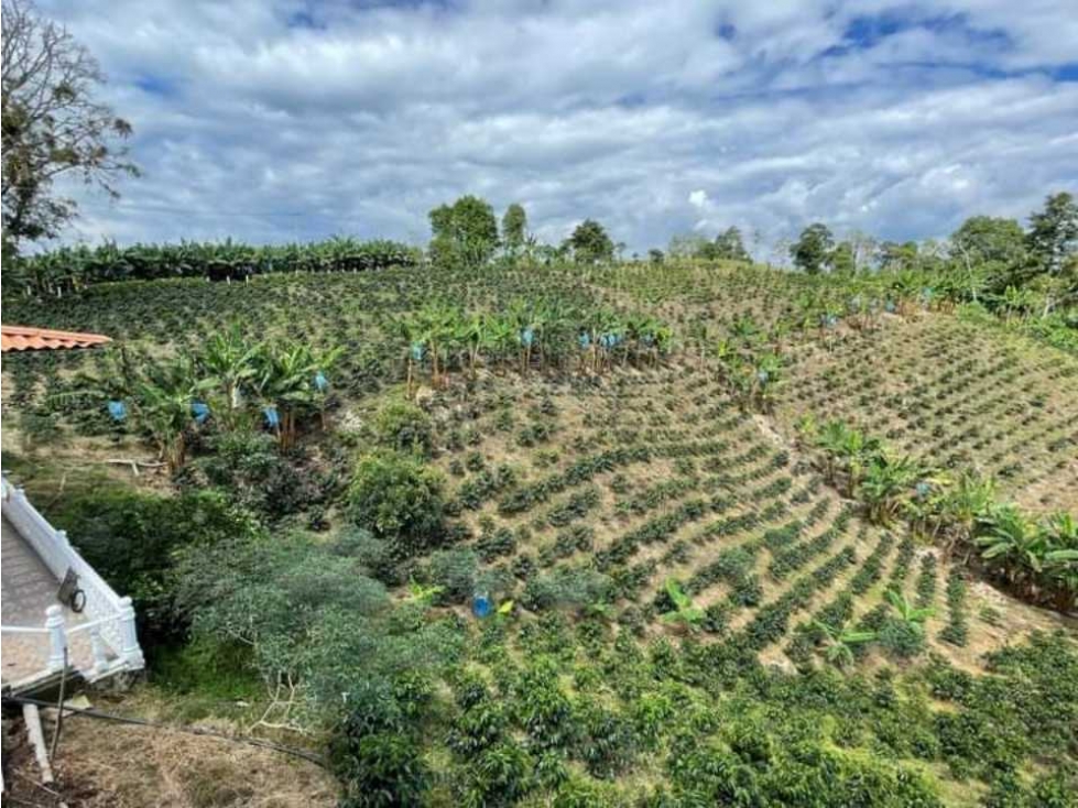 VENTA DE FINCA ALCALA VALLE - 2