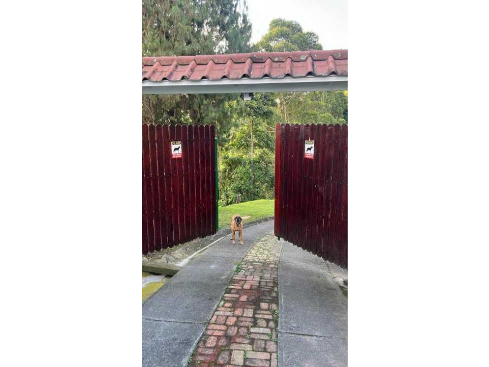 VENTA DE FINCA CAFETERA EN MANIZALES CALDAS - 2