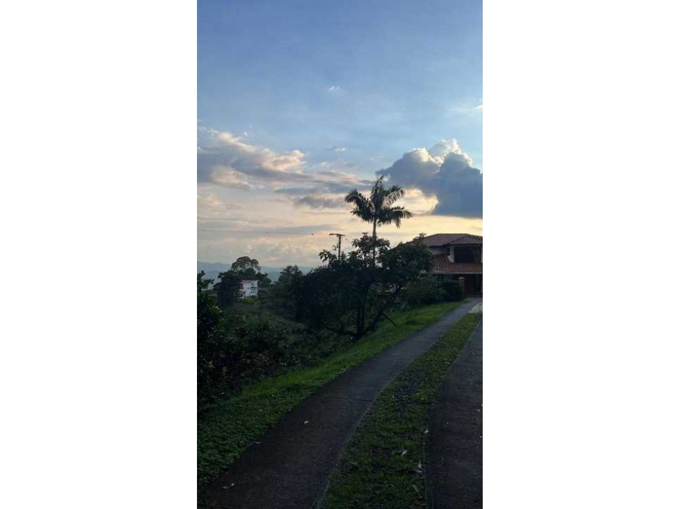 VENTA DE FINCA CAFETERA EN MANIZALES CALDAS - 5