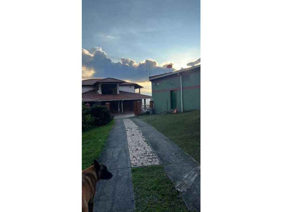 VENTA DE FINCA CAFETERA EN MANIZALES CALDAS - 6