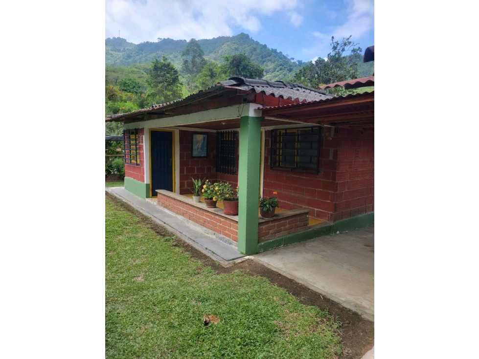 Venta de finca campestre en Marsella - 4